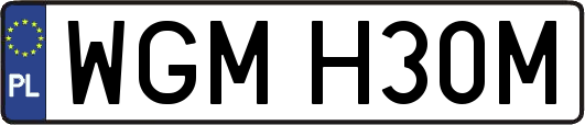 WGMH30M