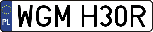 WGMH30R