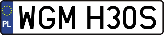 WGMH30S