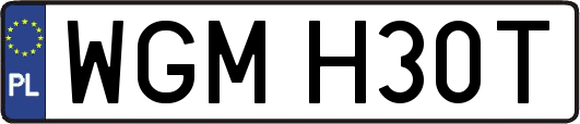 WGMH30T