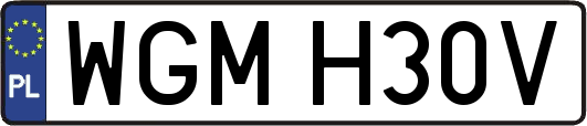 WGMH30V