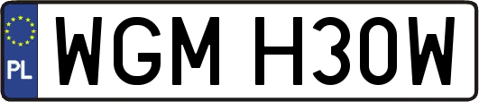 WGMH30W