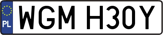 WGMH30Y