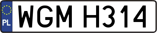 WGMH314