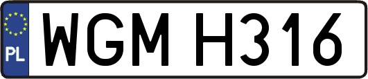 WGMH316