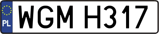 WGMH317