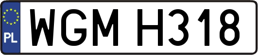 WGMH318