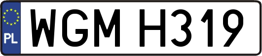 WGMH319