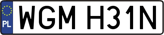 WGMH31N