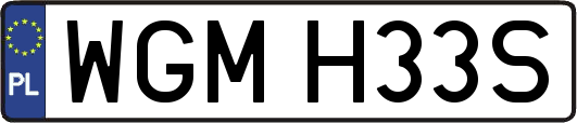 WGMH33S