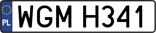WGMH341