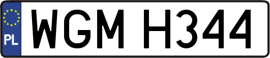 WGMH344
