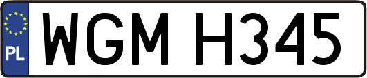 WGMH345