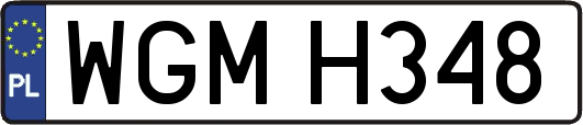 WGMH348