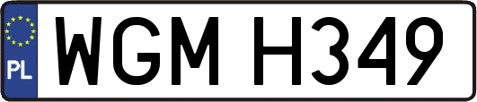 WGMH349