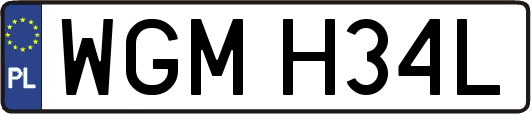 WGMH34L