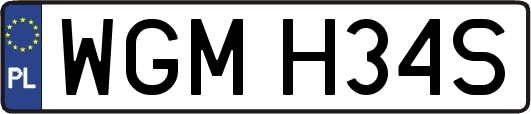 WGMH34S