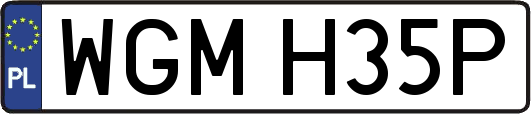 WGMH35P