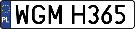 WGMH365