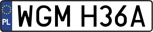 WGMH36A