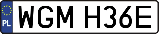 WGMH36E