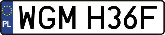 WGMH36F