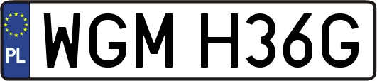 WGMH36G