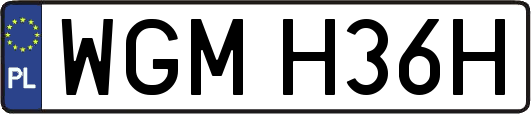 WGMH36H