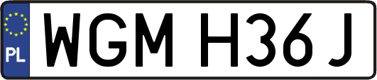 WGMH36J