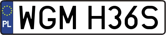 WGMH36S