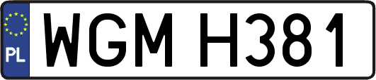 WGMH381