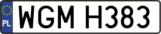WGMH383