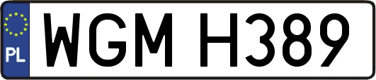 WGMH389