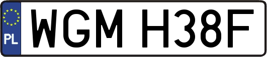 WGMH38F