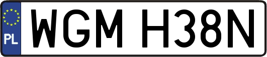 WGMH38N
