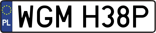 WGMH38P