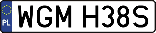 WGMH38S