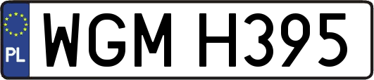 WGMH395