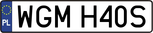 WGMH40S