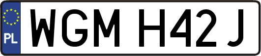 WGMH42J