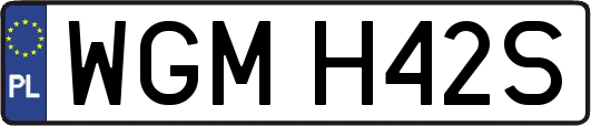WGMH42S