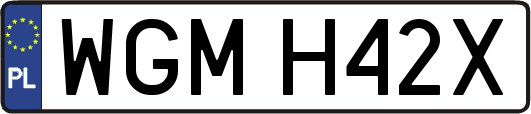 WGMH42X
