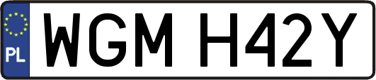 WGMH42Y