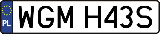WGMH43S