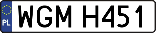 WGMH451