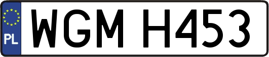 WGMH453