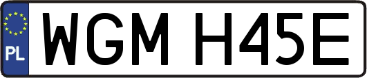 WGMH45E