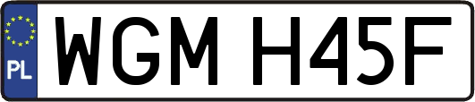 WGMH45F