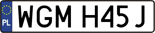 WGMH45J