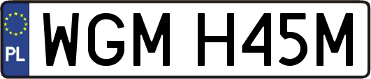 WGMH45M